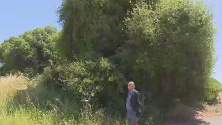 RT ترافق اللاجئ أبو منذر في رحلة العودة