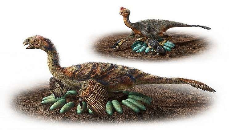 كيف حضنت الديناصورات الضخمة بيوضها دون سحقها؟