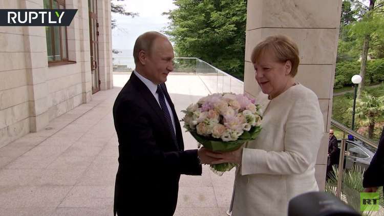 شاهد.. بوتين يستقبل ميركل بباقة أنيقة من الزهور