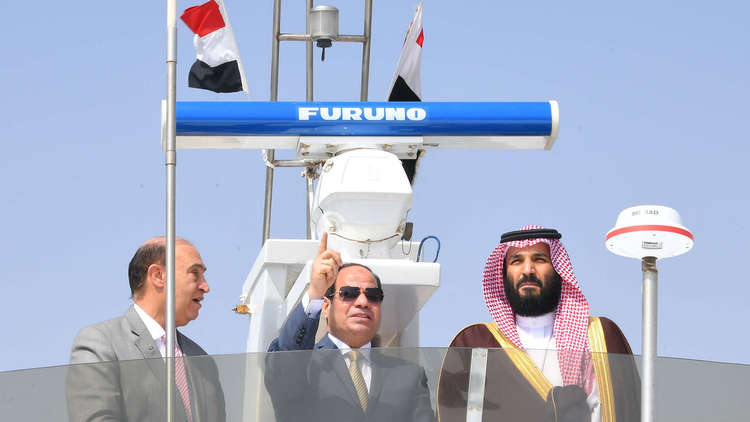 السعودية تنشئ مشروعا صناعيا عملاقا في مصر