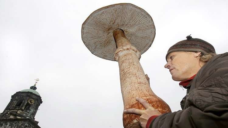 "الفطر السحري" قد يعالج حالات نفسية "مستعصية"!