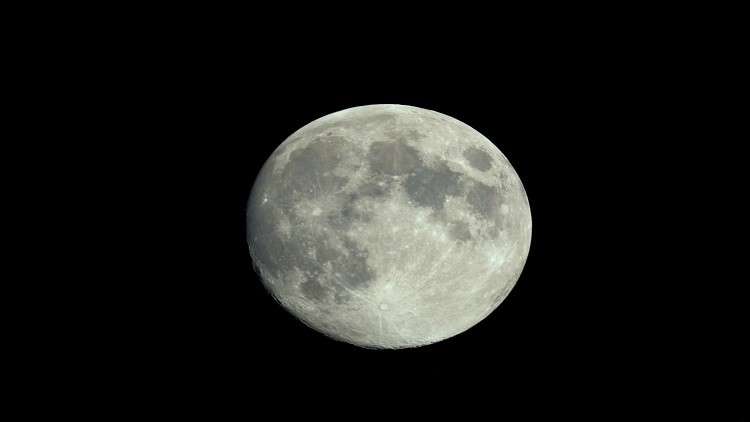 50 طلبا من دول مختلفة للالتحاق برحلة القمر