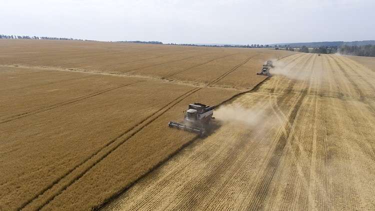 مصر تكشف عن الاحتياطي من السلع الاستراتيجية