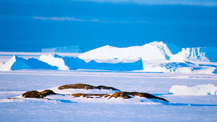 تركيا تعلن نيتها بناء قاعدة علمية في القطب الجنوبي