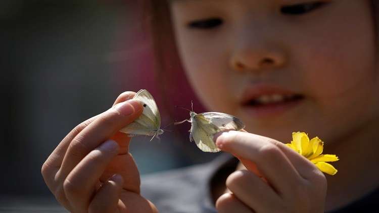 مفاوضات بين سيئول وبيونغ يانغ حول لم شمل الكوريين 