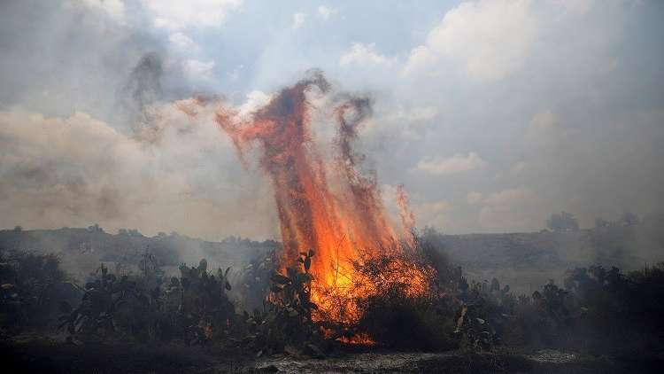 النيران تلتهم عشرات الدونمات في محيط غزة بفعل البالونات الفلسطينية الحارقة 