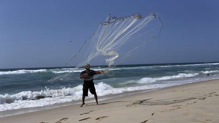 ظهور دلفين نافق على شاطئ رفح (صورة)