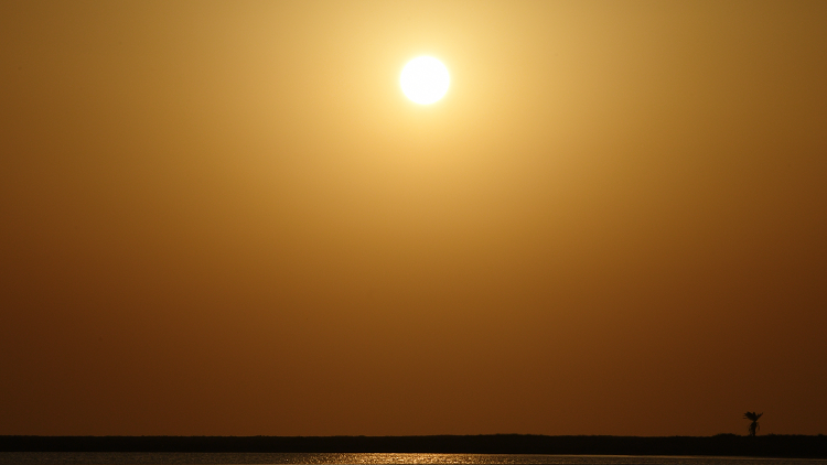 الإمارات.. الحرارة تتجاوز 51 درجة مئوية!