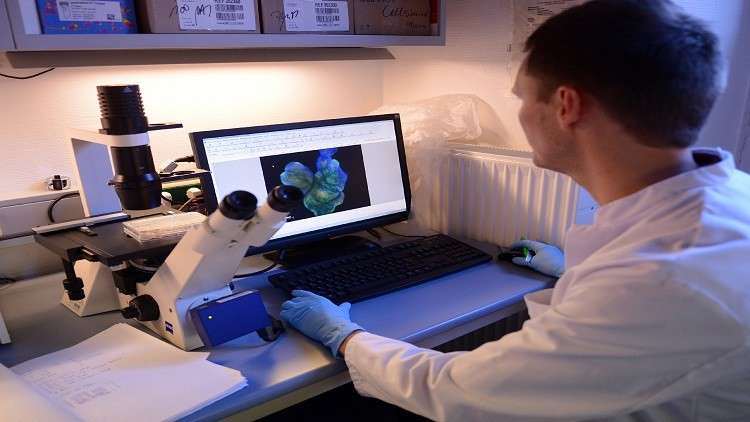 اكتشاف طريقة لمنع تطور المرحلة الأخيرة من السرطان