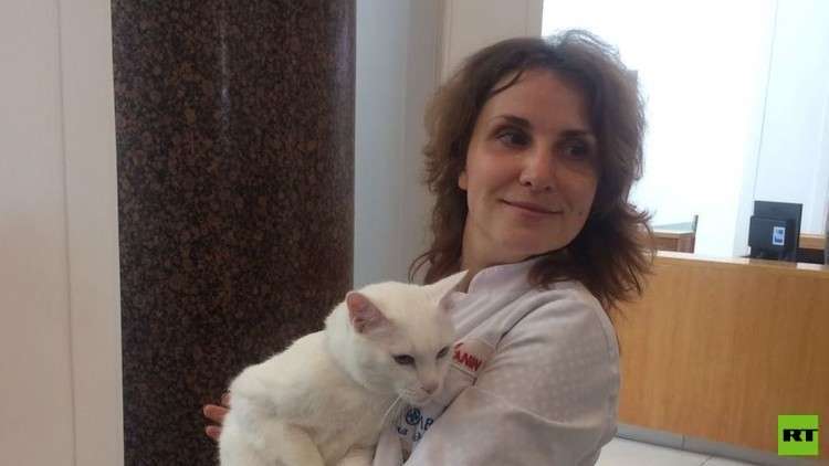 عراف كأس العالم يتنبأ بالفائز من مواجهة بلجيكا وإنجلترا