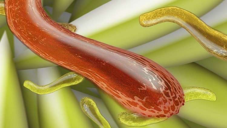 الأطباء يحذرون من 