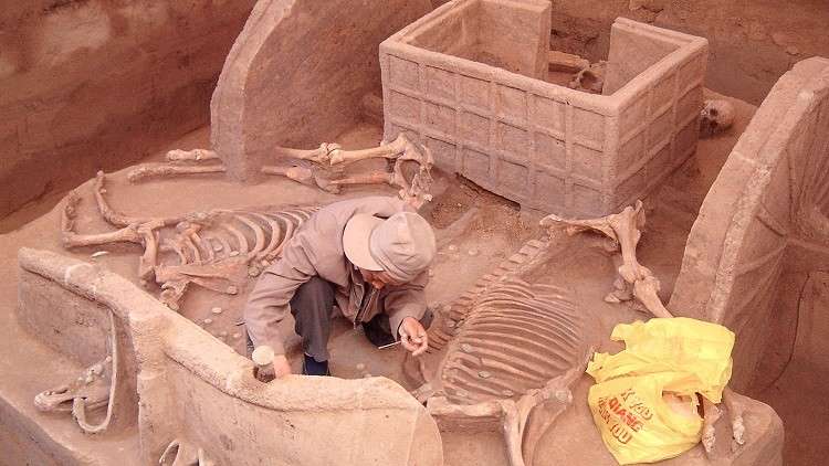 هياكل خيول وتوابيت.. اكتشافات مثيرة في الصين عمرها 2700 سنة
