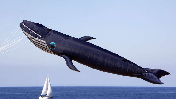 أول حالة انتحار بسبب "الحوت الأزرق" في اليمن