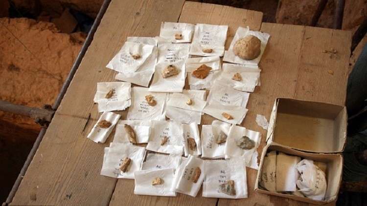 اكتشاف سن لبنية عمرها 560 ألف عام قد تحل ألغاز أسلافنا 