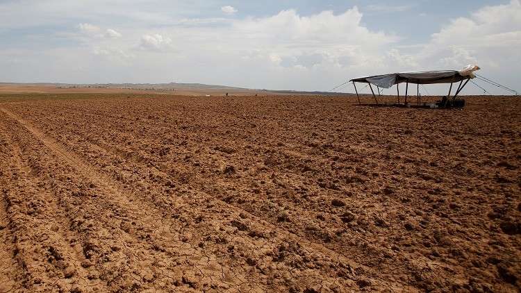 العراق يفقد نصف مساحاته الزراعية بسبب الجفاف 