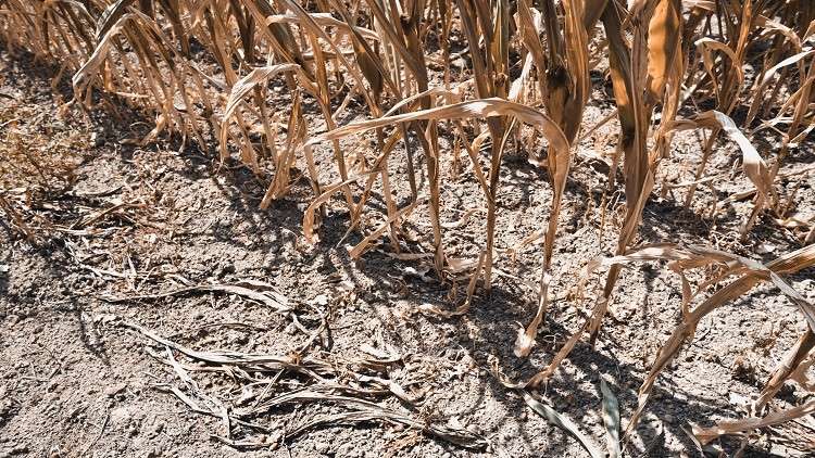 توقعات بتحول الأرض إلى