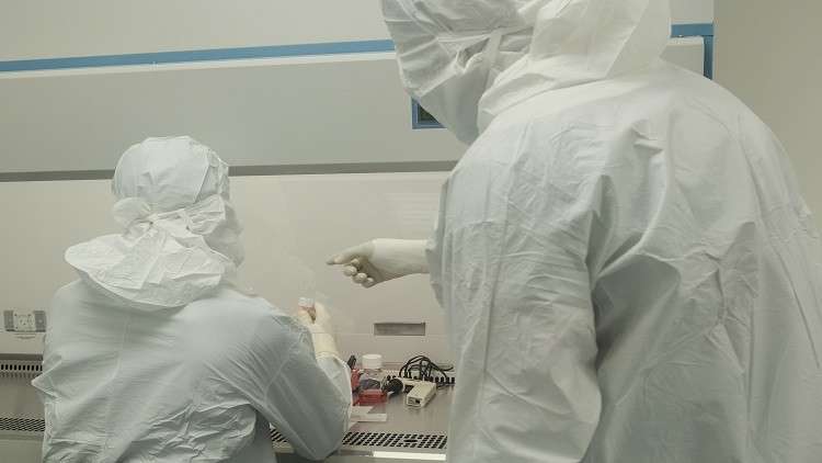 العلماء يقيسون سرعة "انتحار الخلايا" (صورة)