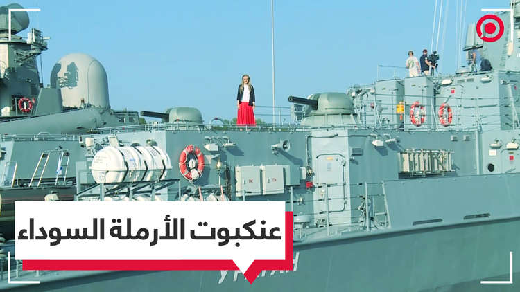 شاهد بالفيديو.. "عنكبوت الأرملة السوداء" الروسية قادرة على "لدغ" حاملات السفن بدقة