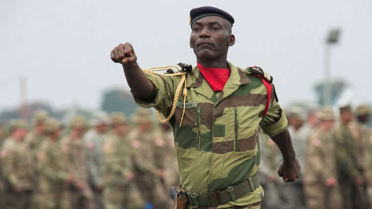 الدفاع الروسية في وسط إفريقيا