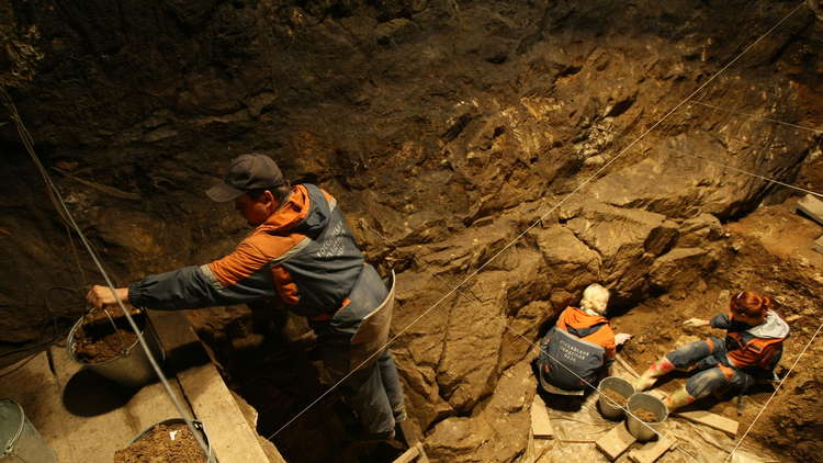 اكتشاف نوع جديد لإنسان منقرض