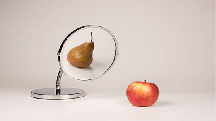 أجسام الإجاصة تحمينا من خطر يحدق بأجسام التفاحة