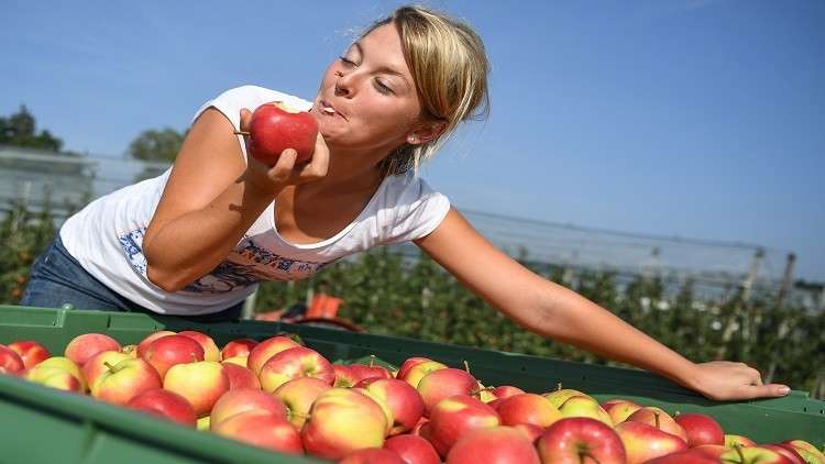 قشور التفاح قادرة على محاربة أخطر أمراض العصر
