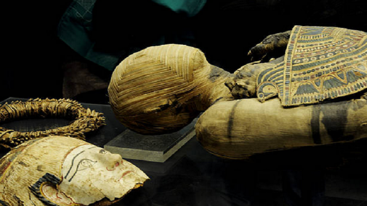 دراسة مذهلة تكشف تفاصيل يد مومياء مصرية قديمة!