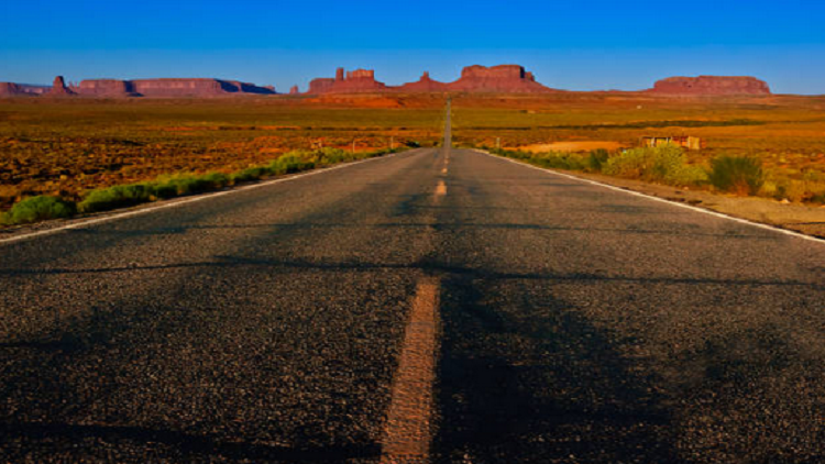 العملاق المرتعش.. موت "أكبر كائن حي على الأرض"!