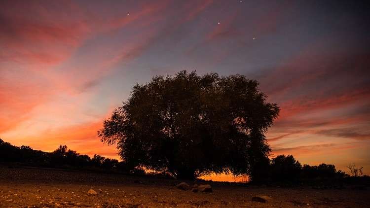 عاصفة مغناطيسية وشيكة تضرب الأرض