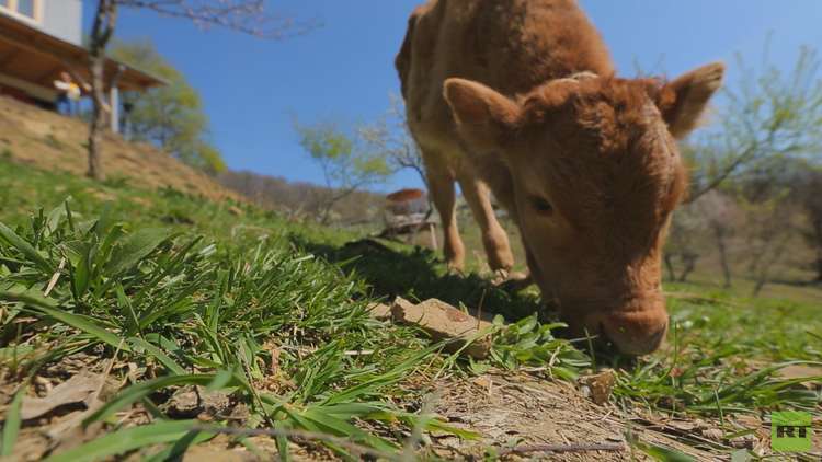 السياحة الإيكولوجية.. طريقة جديدة لقضاء العطلة والإجازات