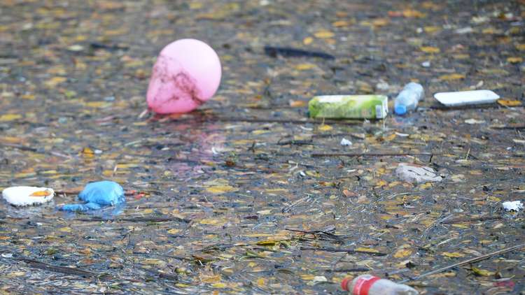 مصر تستورد نفايات من الخارج بالمليارات