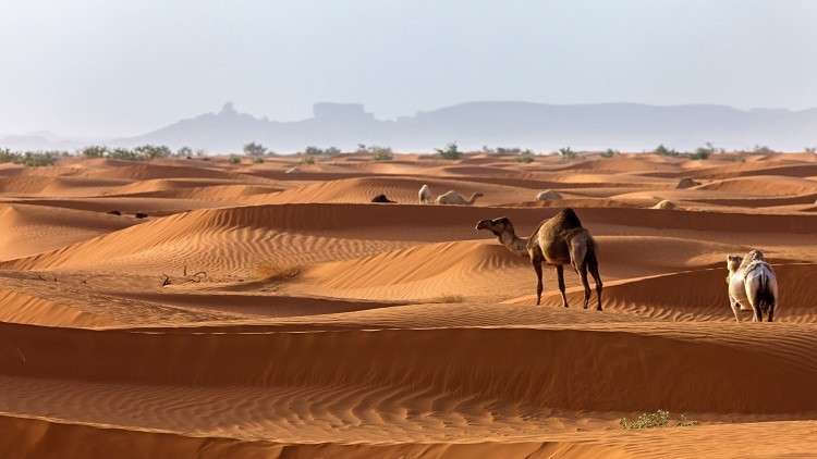 شاهد صحراء السعودية كما لم ترها من قبل!