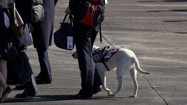 شاهد ما فعله كلب بوش الأب في جنازة صاحبه (صورة)