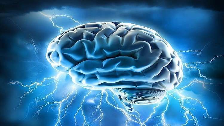 هل يرتبط الدماغ الأكبر حجما بالذكاء بالفعل؟