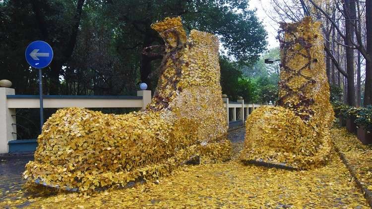 عالم مناخ يحذر من خطر تجارب تغيير المناخ