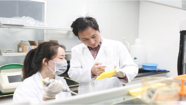 تقرير: فقدان الاتصال بين علماء تجربة التعديل الجيني والمرضى في الصين!