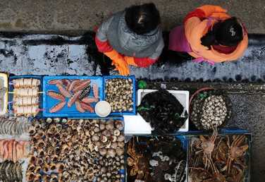 محل لبيع الأسماك في سوق "نوريانجين" في سيئول