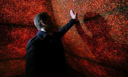 رئيس الوزراء الروسي، دميتري مدفيديف، خلال زيارته لهرم من العنبر في منطقة كالينينغراد الروسية