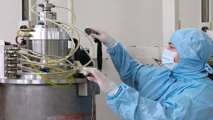 عام الخنزير في أسوأ تجلياته في جورجيا 