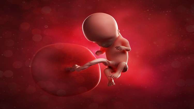 سويدية تصبح أول حامل في العالم بعد زراعة الرحم باستخدام روبوت!