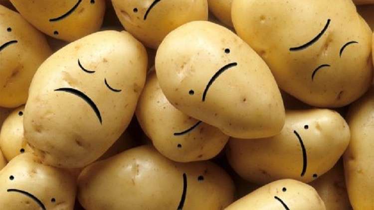 علماء: أغلبية البطاطا في العالم تعاني من 