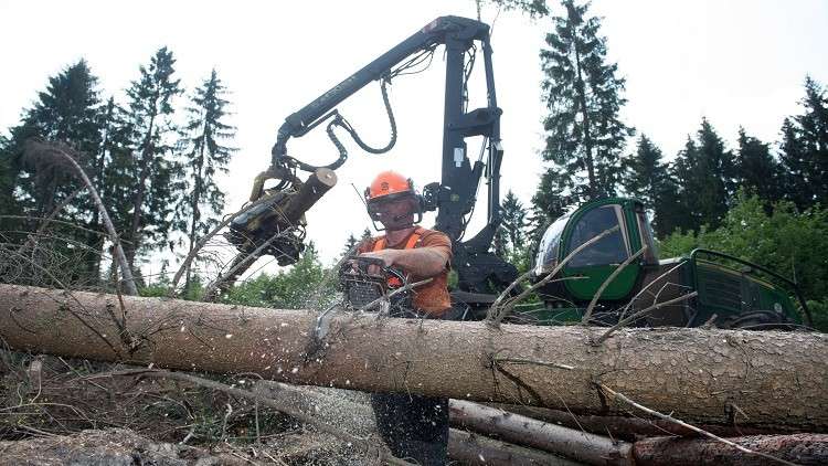 علماء يقترحون طريقة لتجنب كارثة عالمية وموت الملايين