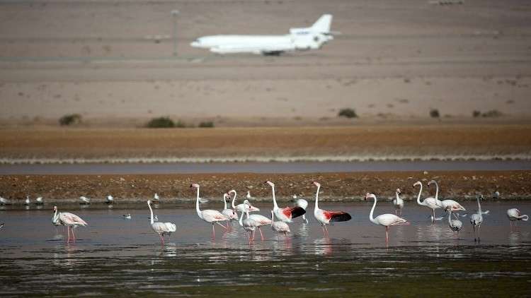 نائب أردنية تطالب بمطار في الأغوار ردا على إسرائيل