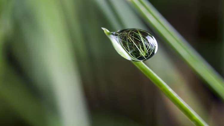 "قنبلة موقوتة" تهدد الأجيال القادمة