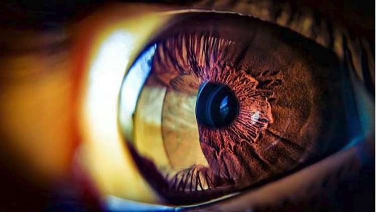 الخلايا الجذعية قد تكون مفتاح القضاء على العمى
