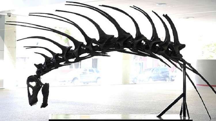 اكتشاف نوع جديد من ديناصورات عاشت منذ 140 مليون سنة