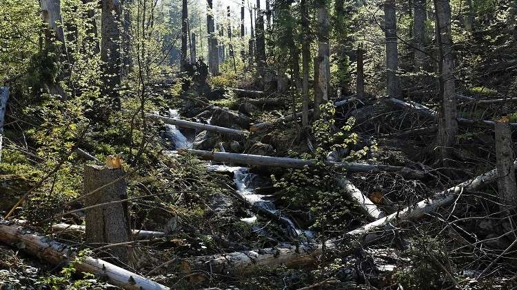 إثبات وجود "قنبلة مناخية" في روسيا