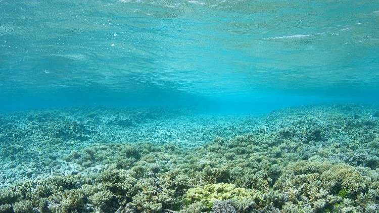 خطر في قاع المحيط يهدد البشرية