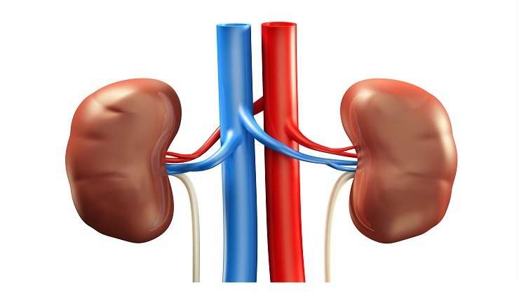 أطباء يبتكرون مركبا "سحريا" لعلاج سرطان الكلى