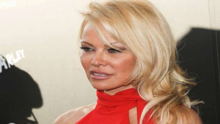 باميلا أندرسون توجه رسالة مفتوحة إلى بوتين بشأن 